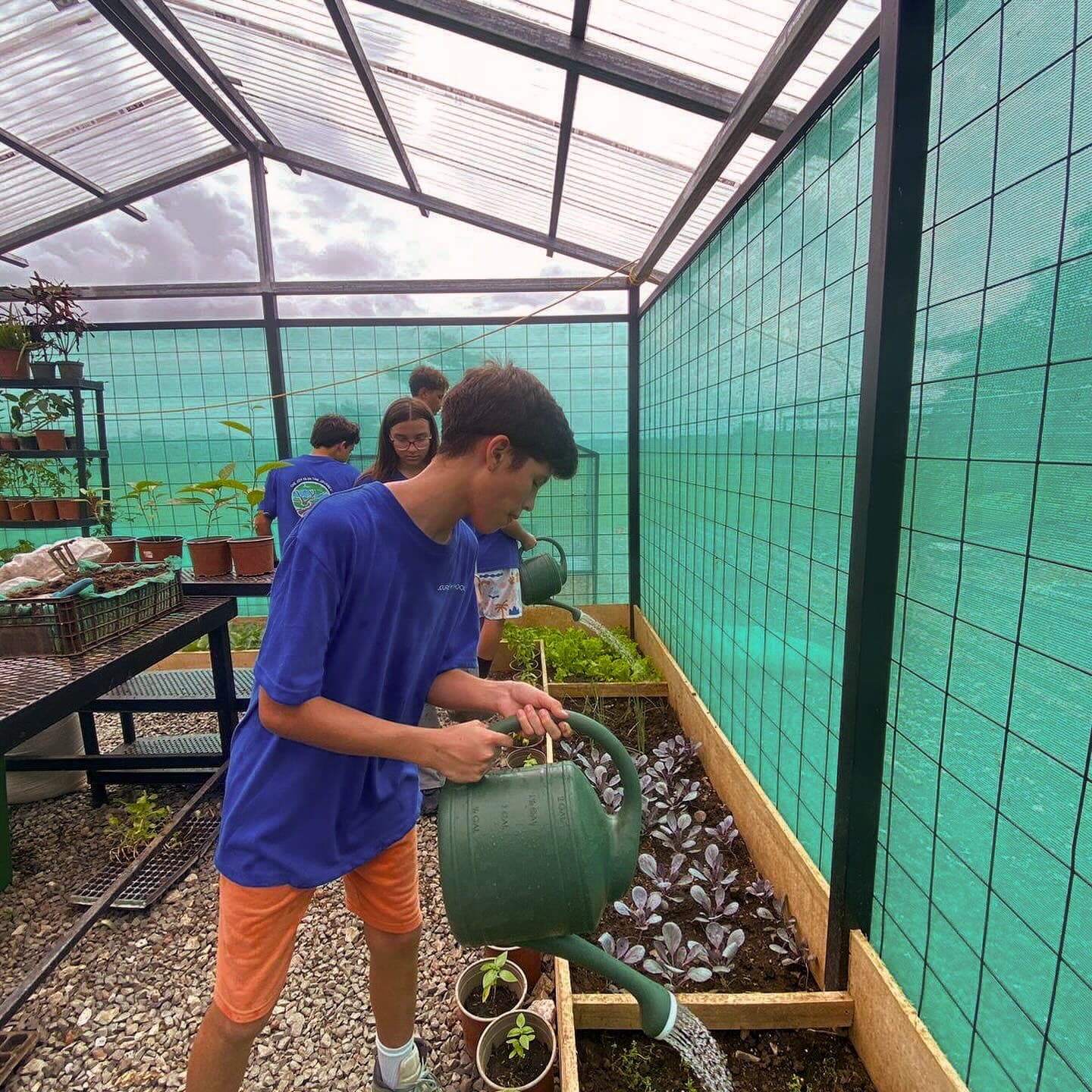 Students learning together